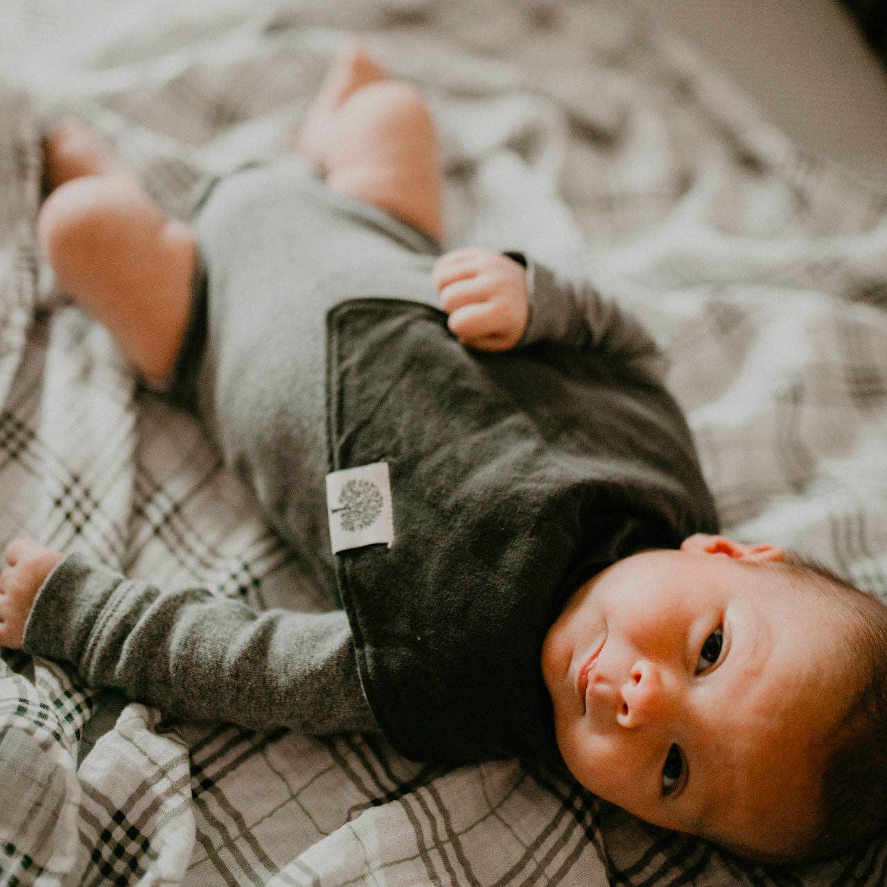 Estes Bandana Bib Set (8 pack)